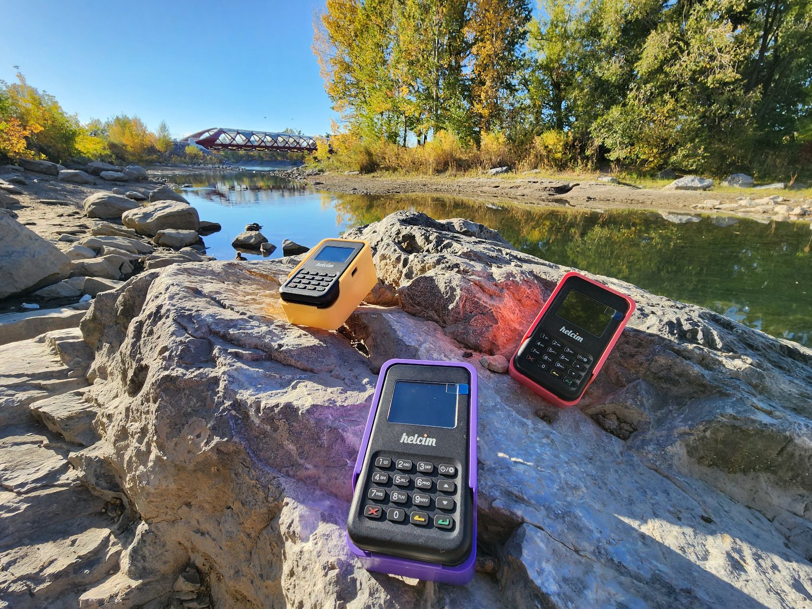 Card reader wrapped up in a cozy scarf sitting on a park bench feeding pigeons in the park 