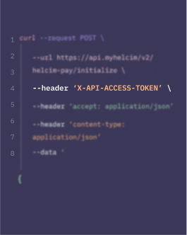 Accept embedded by code payments illustration