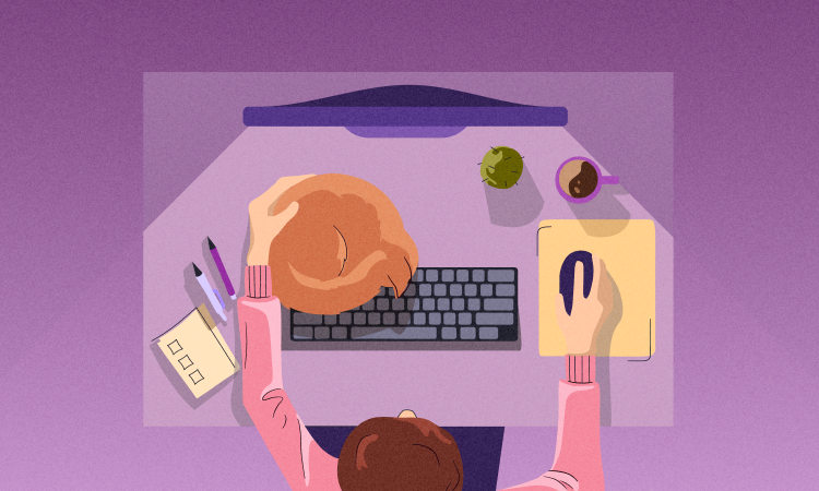 Best 5 invoicing softwares for freelancers by features and fees