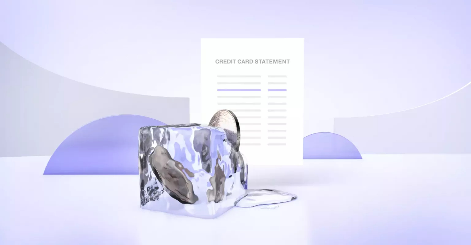 Chargeback statement behind a melting block of ice