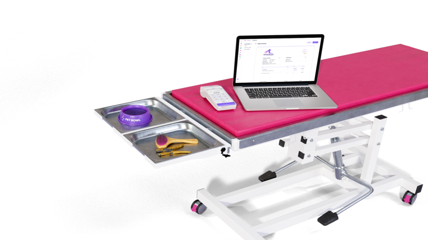 A veterinarian taking care of a cat