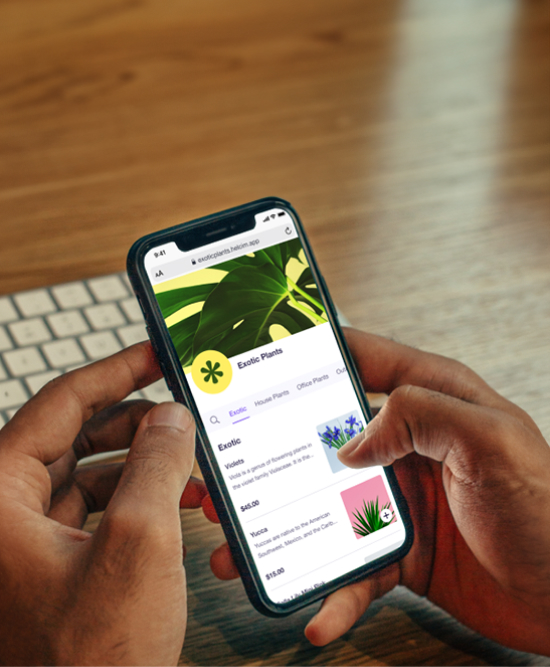 Merchant is selling online